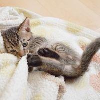 ばーやし 会員画像