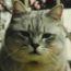 ユーザ画像