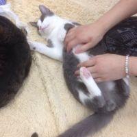 さいこ 会員画像