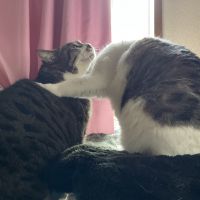 dancermichi 会員画像