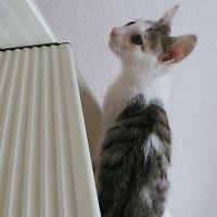 うぃる 会員画像