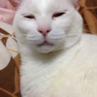 しおさき 会員画像