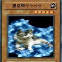 十六夜よいよい 会員画像