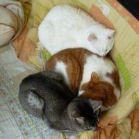 会員画像