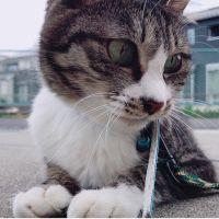 krdnnm 会員画像