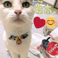 チェリーさんのしもべ 会員画像