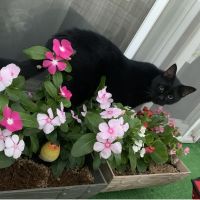 会員画像