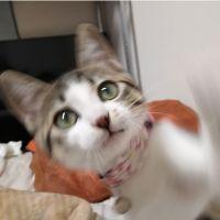 みなえる 会員画像