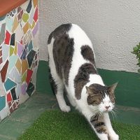 さおりん701 会員画像