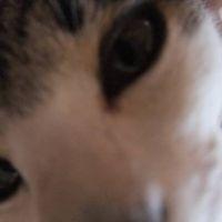 会員画像
