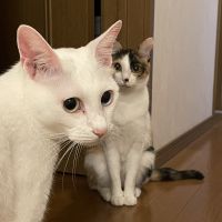 shuna25 会員画像