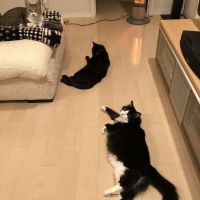 きくぞお 会員画像