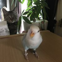会員画像