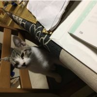 土屋克也 会員画像