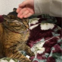 たかてる 会員画像
