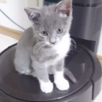 会員画像