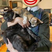 ジラフさん 会員画像
