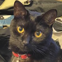 ジュッチャン 会員画像