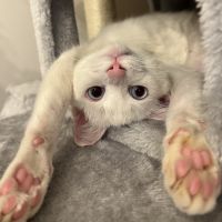 べさん 会員画像