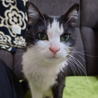 しぃ2022 会員画像