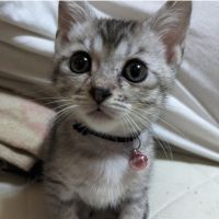 らんらん83 会員画像