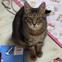 のの1022 会員画像