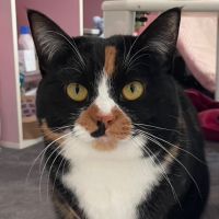 えまぽん 会員画像