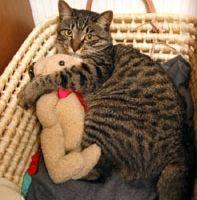 ハイジ 会員画像