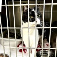 まさこちゃん 会員画像