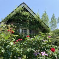 poko110 会員画像