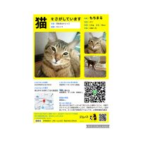 くぅちゃむさん