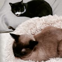GENAJI-MMさん