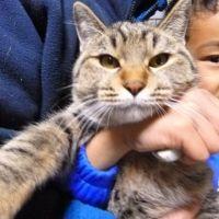 soraが好きです^^ 会員画像