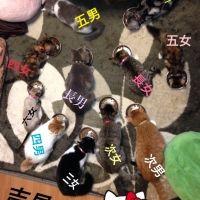 会員画像
