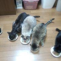 ふくのぶ 会員画像