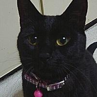 nokoope 会員画像