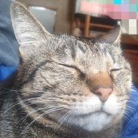 はなぶさ 会員画像