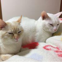 まーさん^._.^ 会員画像