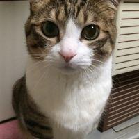mitato13 会員画像