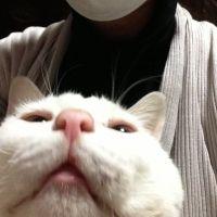 コパク 会員画像