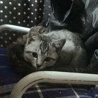 会員画像