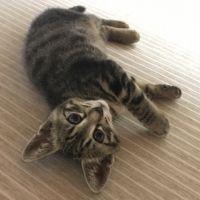 会員画像