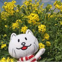 あずきかん 会員画像