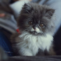 あーるほし 会員画像