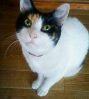 たかぴん 会員画像