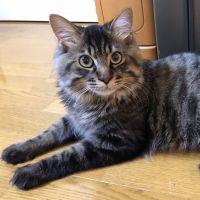 ちゅー（岐阜）さん