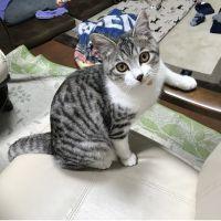 会員画像