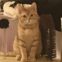 ゆき12 会員画像