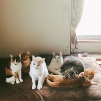 chobi7 会員画像