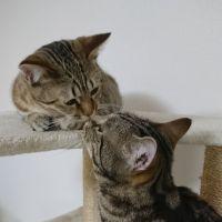 ウニ太郎 会員画像